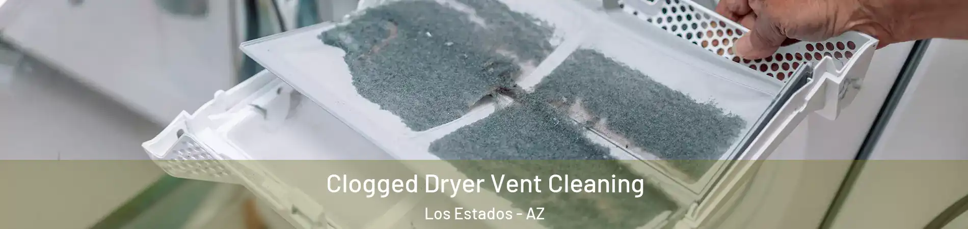 Clogged Dryer Vent Cleaning Los Estados - AZ
