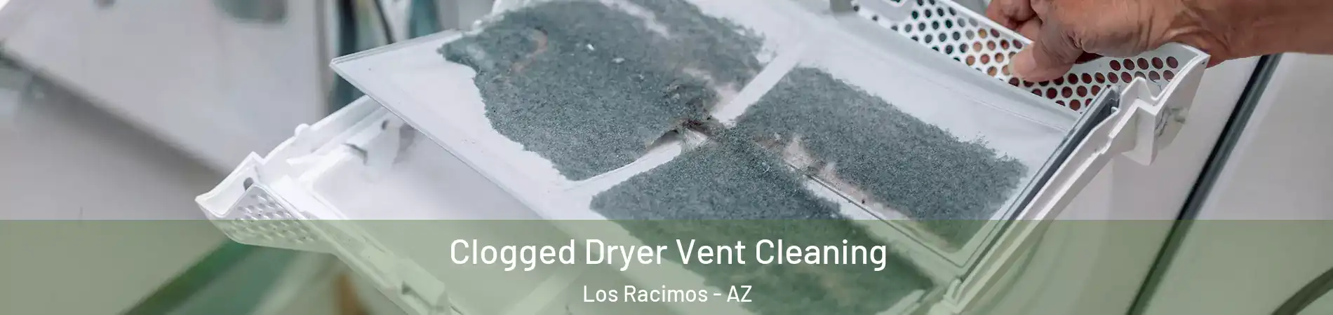 Clogged Dryer Vent Cleaning Los Racimos - AZ
