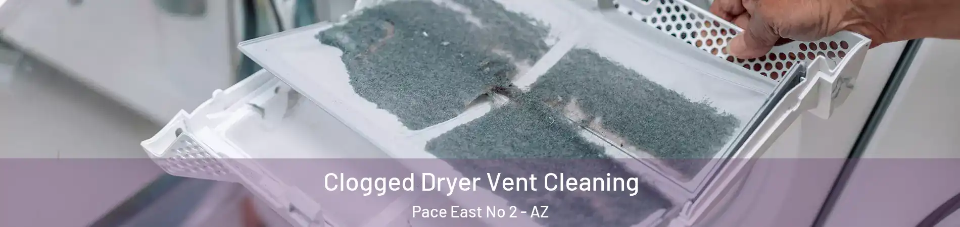 Clogged Dryer Vent Cleaning Pace East No 2 - AZ
