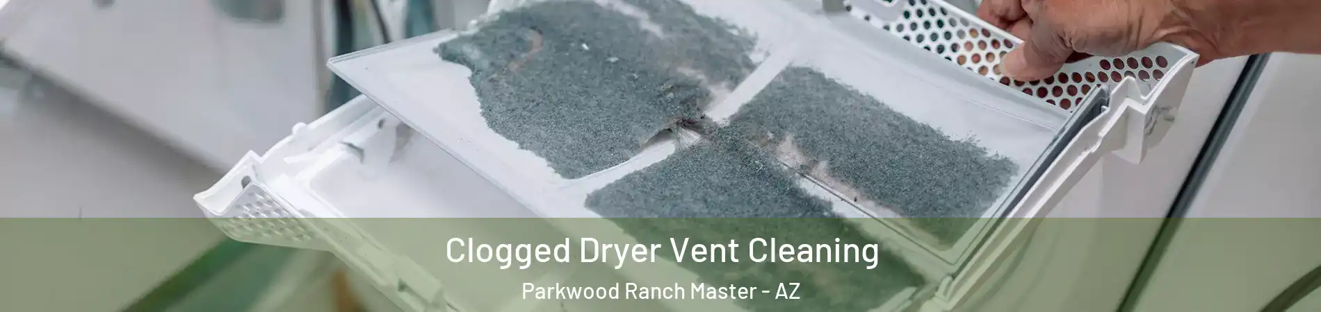 Clogged Dryer Vent Cleaning Parkwood Ranch Master - AZ