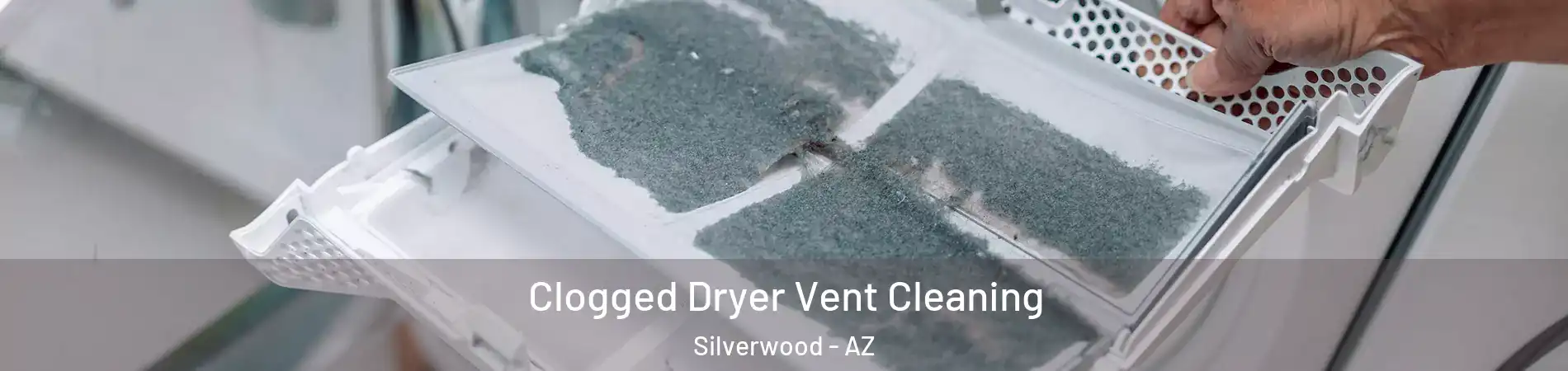 Clogged Dryer Vent Cleaning Silverwood - AZ