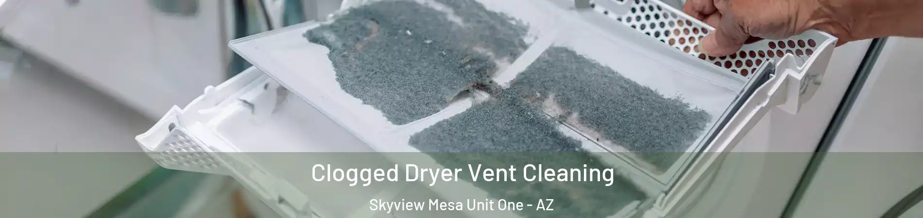 Clogged Dryer Vent Cleaning Skyview Mesa Unit One - AZ