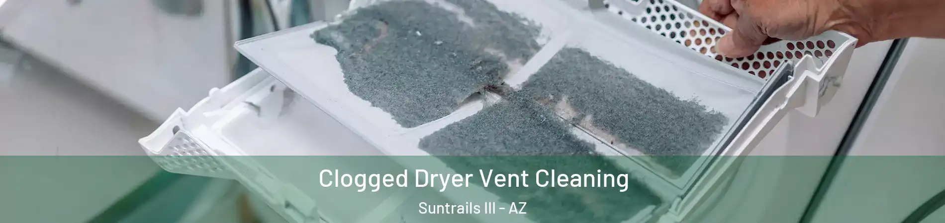 Clogged Dryer Vent Cleaning Suntrails III - AZ