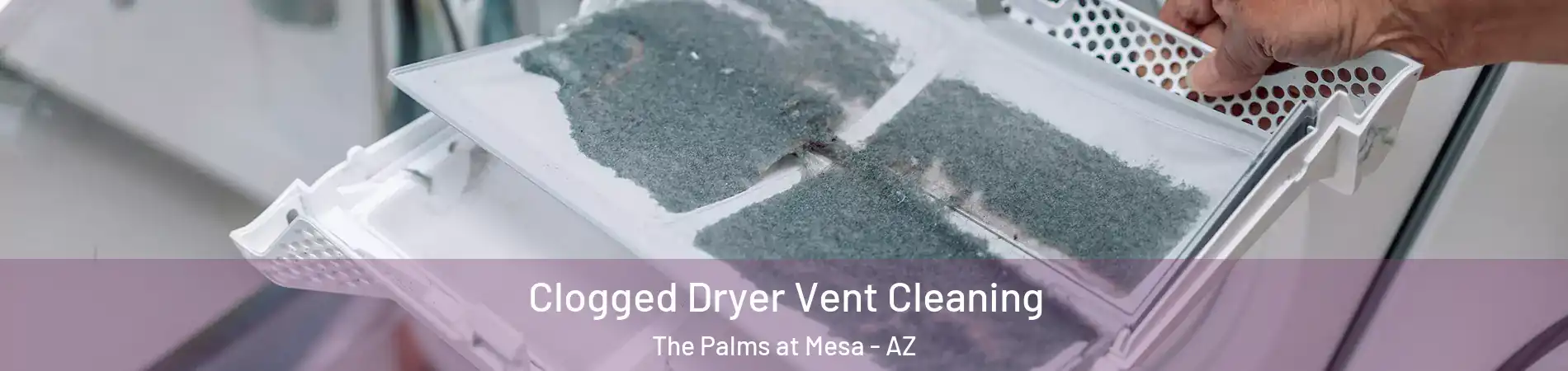Clogged Dryer Vent Cleaning The Palms at Mesa - AZ