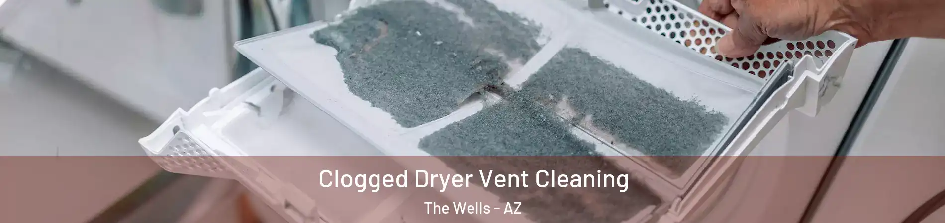 Clogged Dryer Vent Cleaning The Wells - AZ
