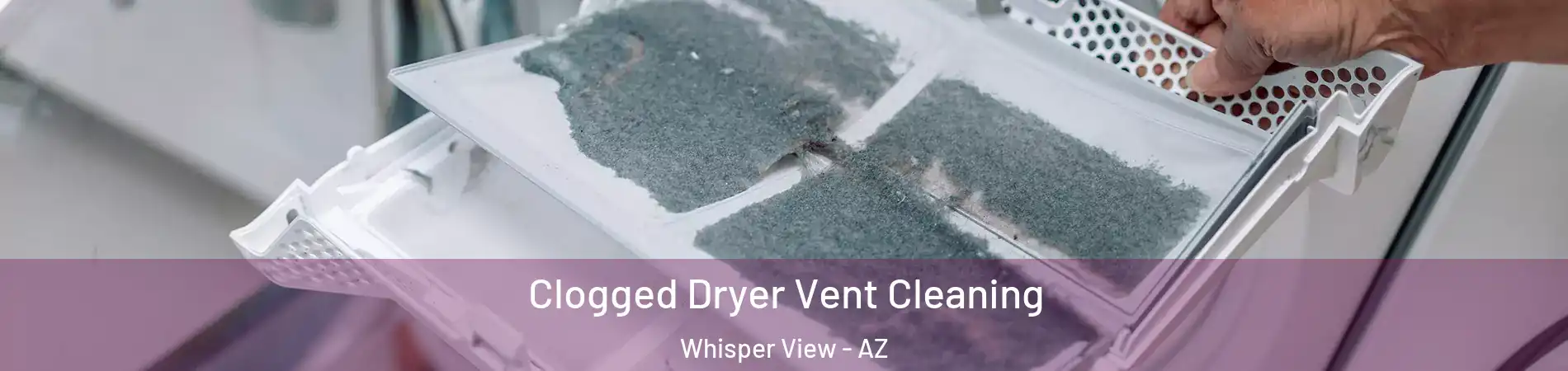 Clogged Dryer Vent Cleaning Whisper View - AZ