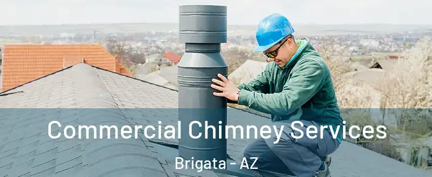 Commercial Chimney Services Brigata - AZ