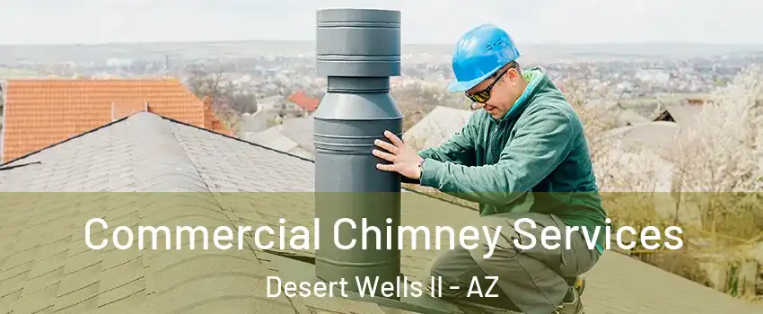 Commercial Chimney Services Desert Wells II - AZ