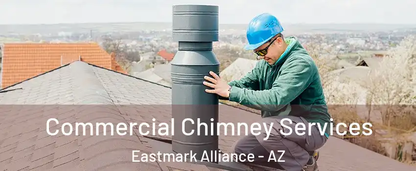 Commercial Chimney Services Eastmark Alliance - AZ