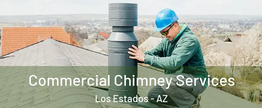 Commercial Chimney Services Los Estados - AZ