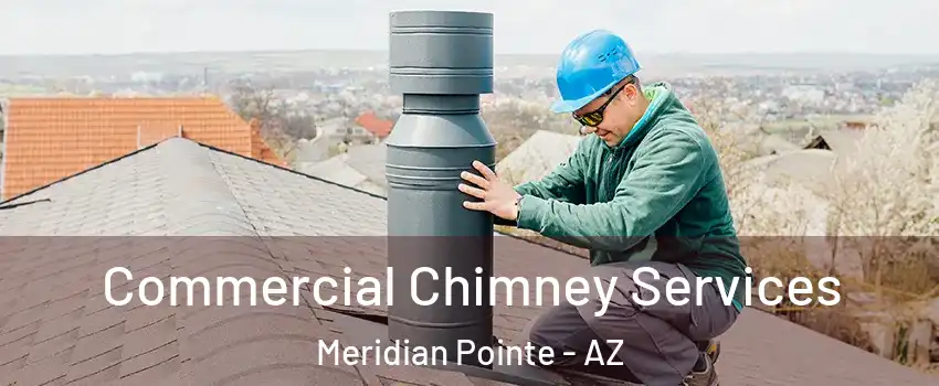 Commercial Chimney Services Meridian Pointe - AZ