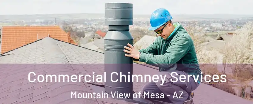 Commercial Chimney Services Mountain View of Mesa - AZ