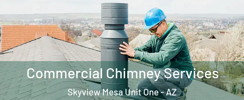Commercial Chimney Services Skyview Mesa Unit One - AZ