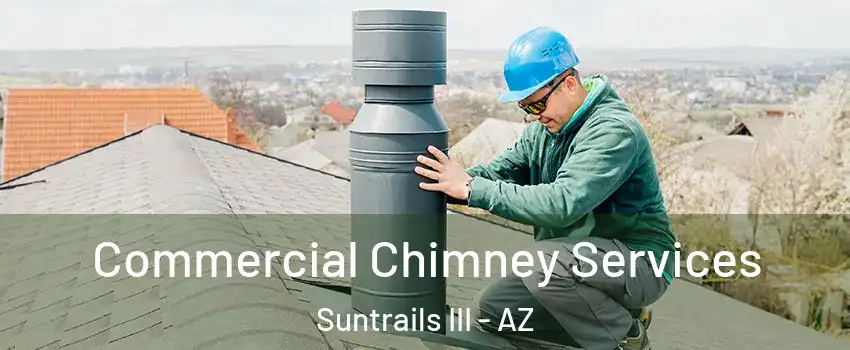 Commercial Chimney Services Suntrails III - AZ