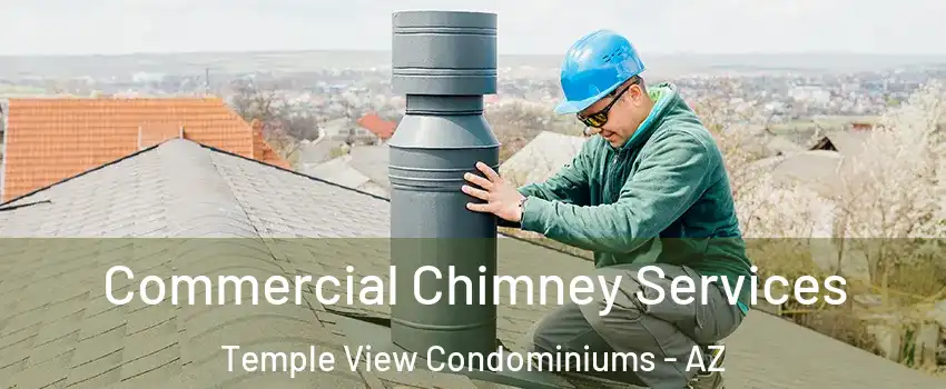 Commercial Chimney Services Temple View Condominiums - AZ