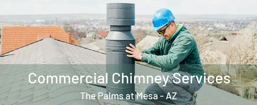 Commercial Chimney Services The Palms at Mesa - AZ
