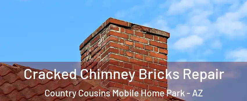 Cracked Chimney Bricks Repair Country Cousins Mobile Home Park - AZ