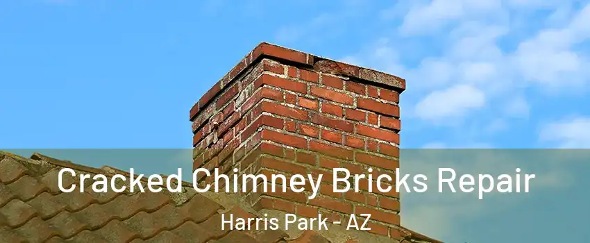 Cracked Chimney Bricks Repair Harris Park - AZ