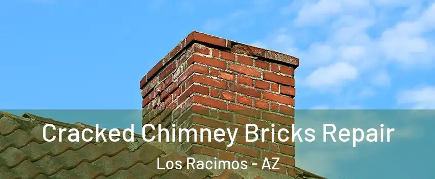Cracked Chimney Bricks Repair Los Racimos - AZ