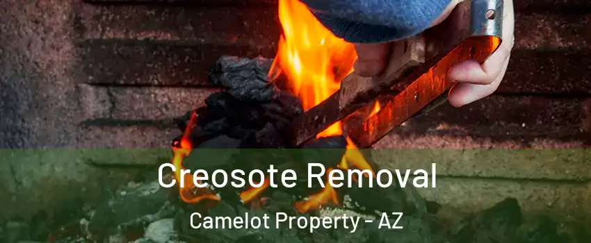 Creosote Removal Camelot Property - AZ