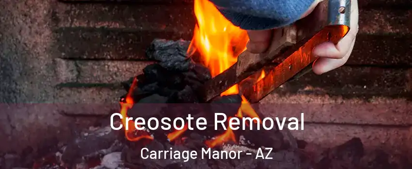 Creosote Removal Carriage Manor - AZ
