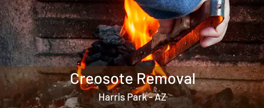 Creosote Removal Harris Park - AZ