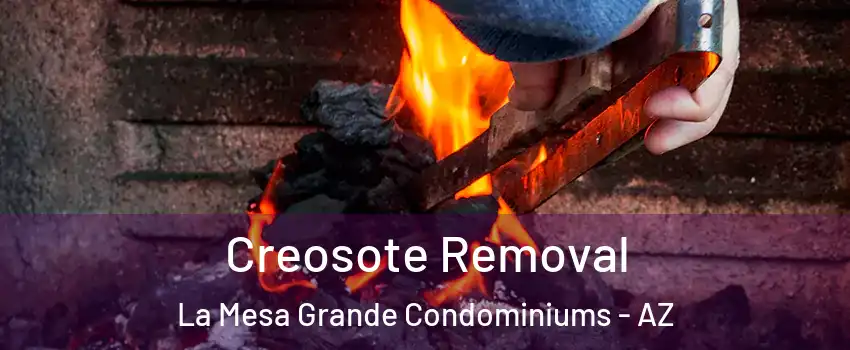 Creosote Removal La Mesa Grande Condominiums - AZ