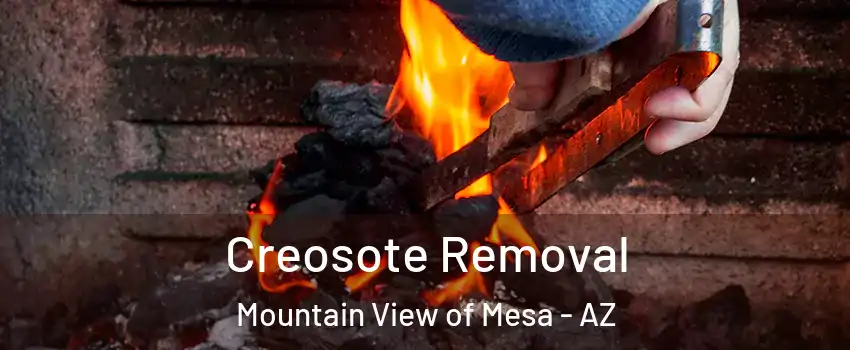Creosote Removal Mountain View of Mesa - AZ