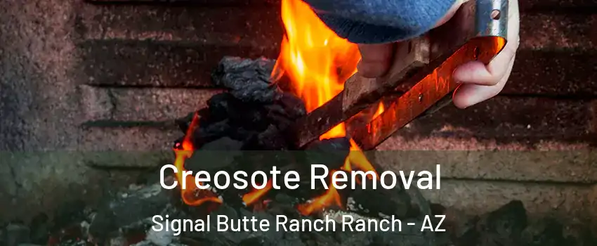 Creosote Removal Signal Butte Ranch Ranch - AZ