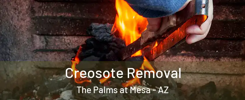 Creosote Removal The Palms at Mesa - AZ