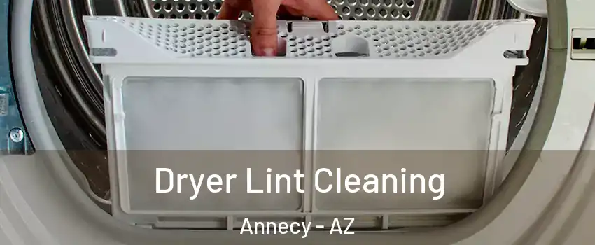 Dryer Lint Cleaning Annecy - AZ