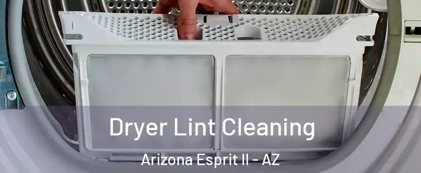 Dryer Lint Cleaning Arizona Esprit II - AZ