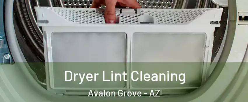 Dryer Lint Cleaning Avalon Grove - AZ