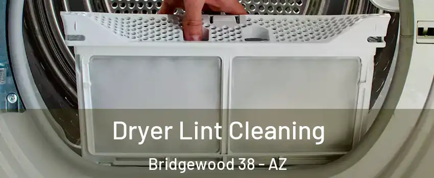 Dryer Lint Cleaning Bridgewood 38 - AZ