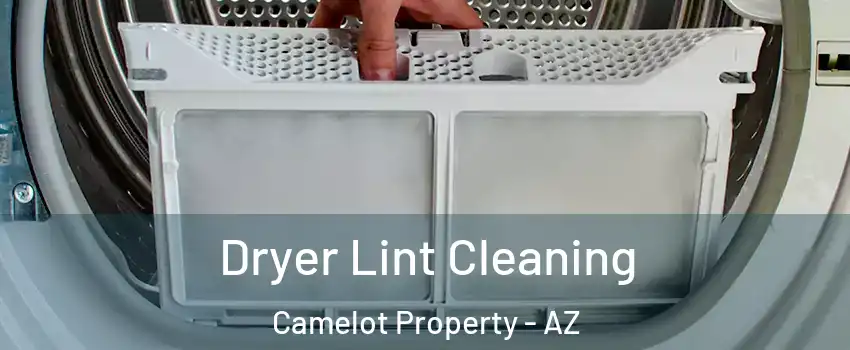 Dryer Lint Cleaning Camelot Property - AZ