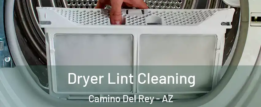 Dryer Lint Cleaning Camino Del Rey - AZ