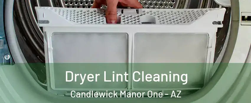 Dryer Lint Cleaning Candlewick Manor One - AZ