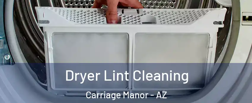 Dryer Lint Cleaning Carriage Manor - AZ
