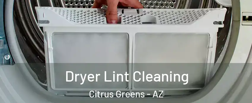 Dryer Lint Cleaning Citrus Greens - AZ