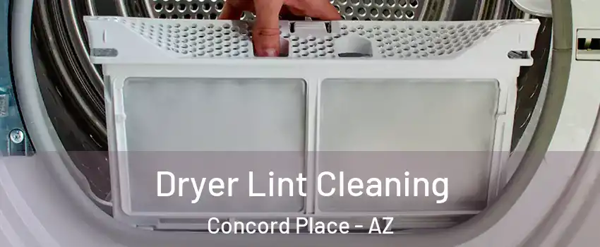 Dryer Lint Cleaning Concord Place - AZ