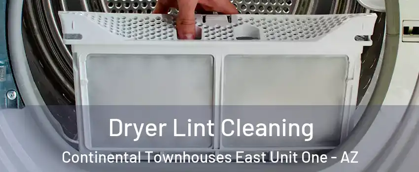 Dryer Lint Cleaning Continental Townhouses East Unit One - AZ
