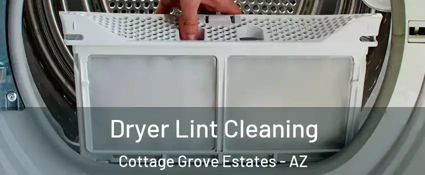 Dryer Lint Cleaning Cottage Grove Estates - AZ