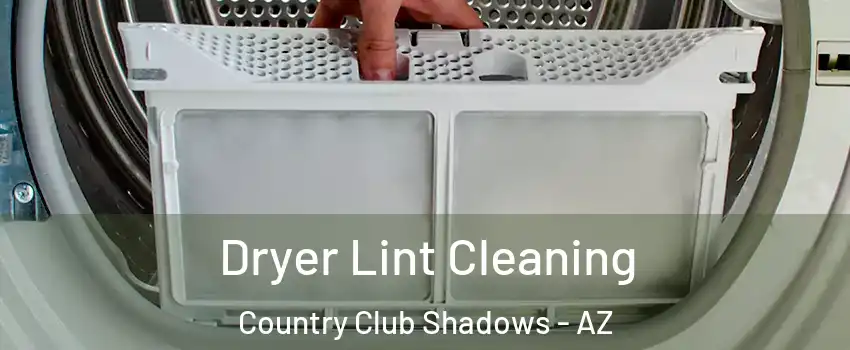 Dryer Lint Cleaning Country Club Shadows - AZ
