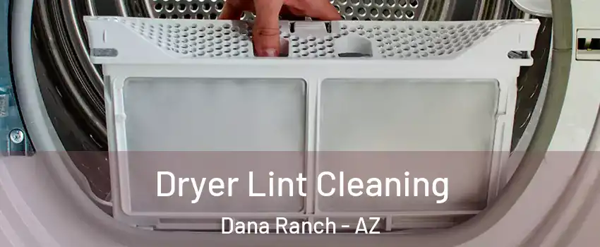 Dryer Lint Cleaning Dana Ranch - AZ