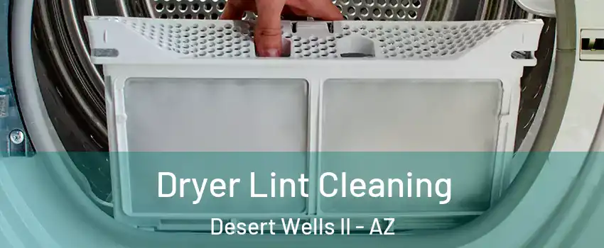 Dryer Lint Cleaning Desert Wells II - AZ