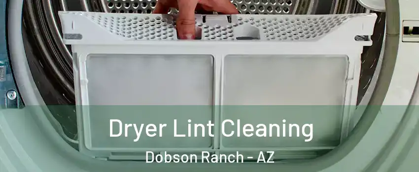 Dryer Lint Cleaning Dobson Ranch - AZ