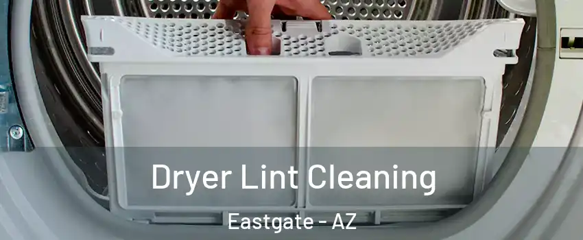 Dryer Lint Cleaning Eastgate - AZ