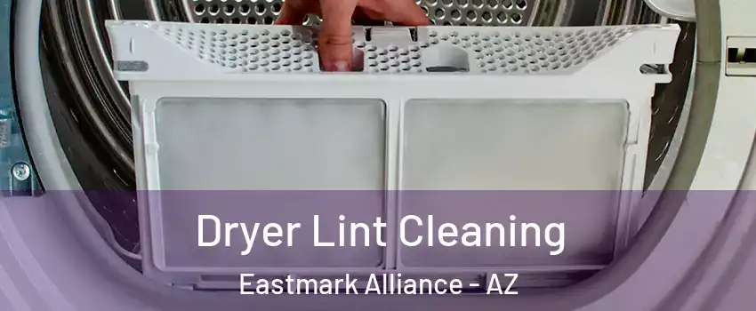 Dryer Lint Cleaning Eastmark Alliance - AZ