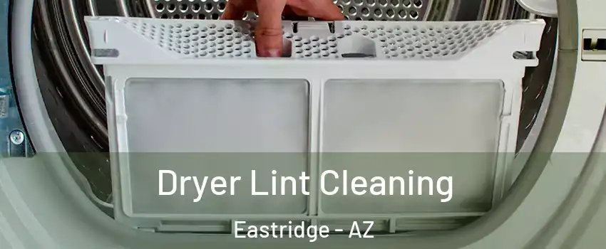 Dryer Lint Cleaning Eastridge - AZ
