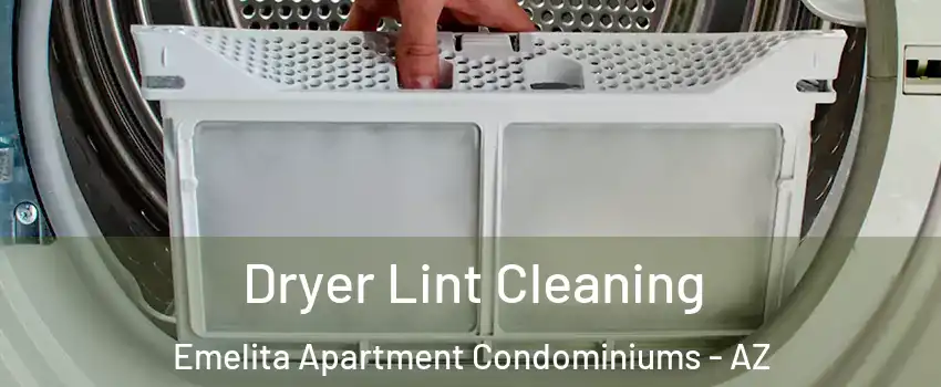 Dryer Lint Cleaning Emelita Apartment Condominiums - AZ